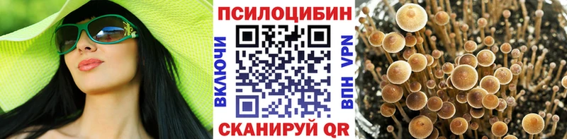 Псилоцибиновые грибы Magic Shrooms  Усолье 